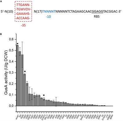 The Expression of NOX From Synthetic Promoters Reveals an Important Role of the Redox Status in Regulating Secondary Metabolism of Saccharopolyspora erythraea